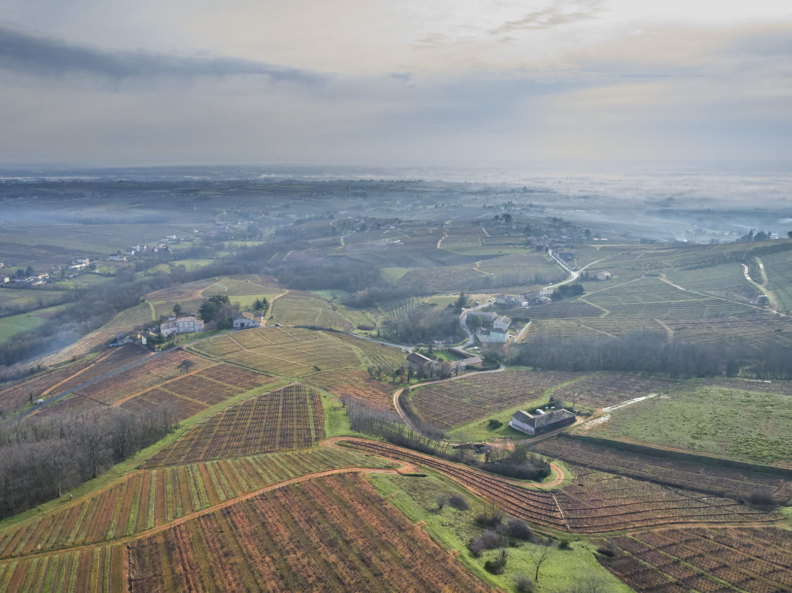 Steep granite hills transitioning to pebbly alluvial flats in Chénas, shaping darker fruit and firmer tannins.